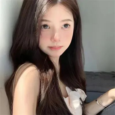 追鹰日记