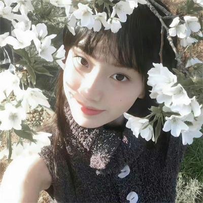 天蝎第二季